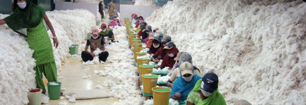 Environmental Impacts & Solutions Within the Textile & Garment Industry